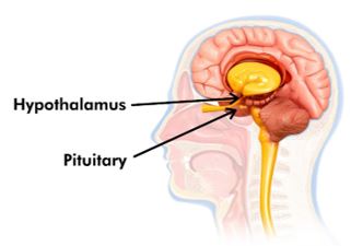 How Stress Affects Your Body in Middleton WI