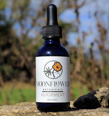 Alternative and Holistic Practitioner Middleton WI Moonflower Alignment Alternative and Holistic Practitioner Middleton WI Moonflower Alignment